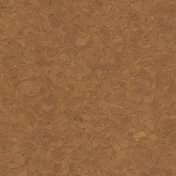 3D Models