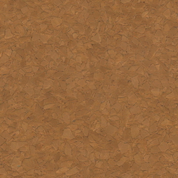 3D Models