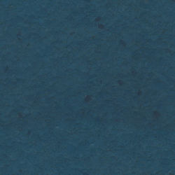3D Models