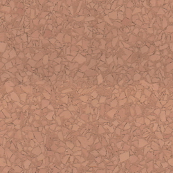 3D Models