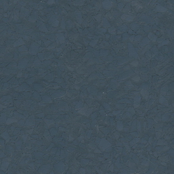 3D Models