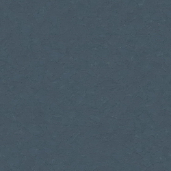 3D Models