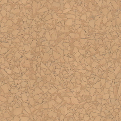 3D Models