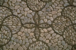 3D Models