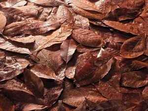 3D texture mapping