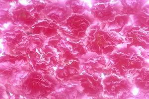 3D texture mapping