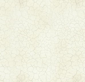 Super practical Gyrosigma Decoration Material
