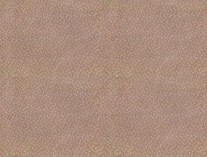 Super practical Gyrosigma Decoration Material