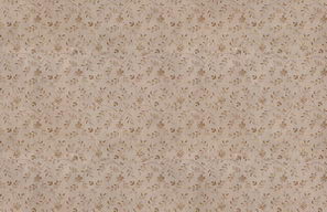 Super practical Gyrosigma Decoration Material