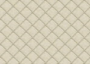 Super practical Gyrosigma Decoration Material9