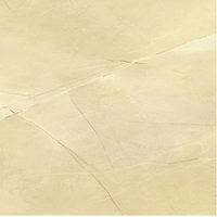 Europe type character vogue floor tile - 4