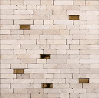 Mosaic wall brick series
