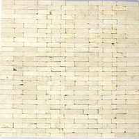 Mosaic wall brick series
