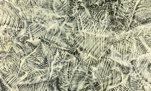 3d pigments texture