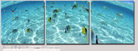 Underwater World Picture