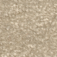  2011 Carpet material