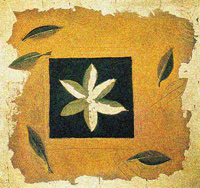 Maple Leaf texture Gyrosigma