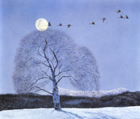 White moonlight snow scene wallpaper