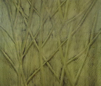 Dark green glass texture map