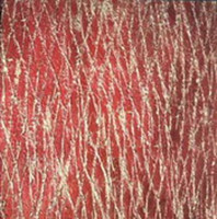 Red crack glass texture