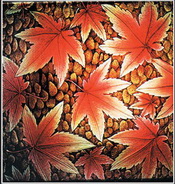 Orange maple leaves texture