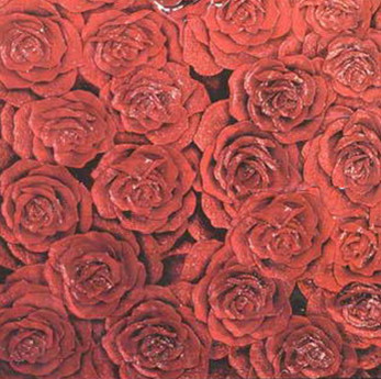 Red Rose stained glass map