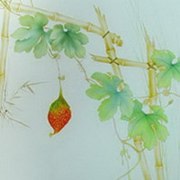 Green bamboo forest glass textures