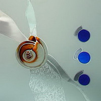 Snails transparent glass textures