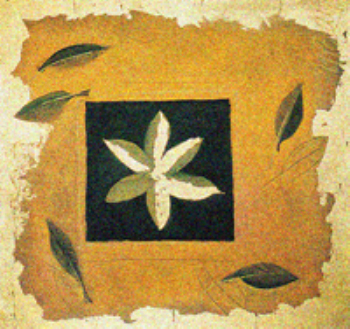 Maple Leaf wove material