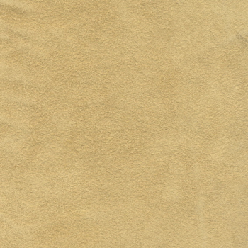 The household Gyrosigma textures