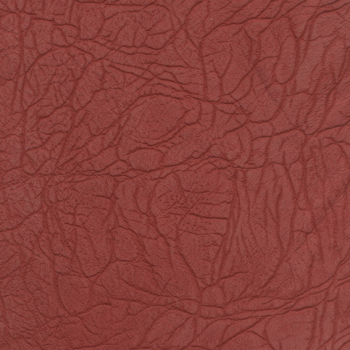 The household Gyrosigma textures