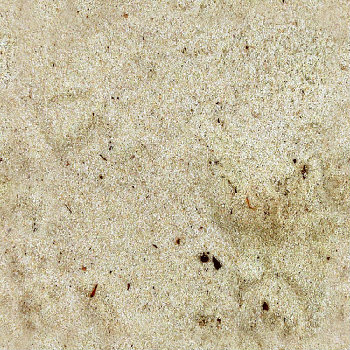 Wasteland desert ground texture pattern