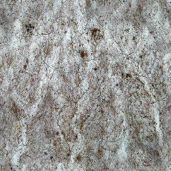 Wasteland desert ground texture pattern