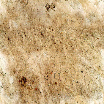 Wasteland desert ground texture pattern