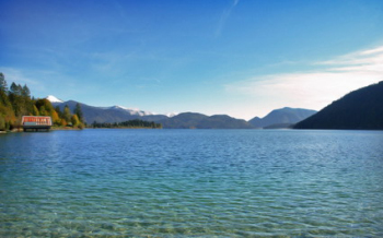 The widescreen exquisite landscape plants wallpaper