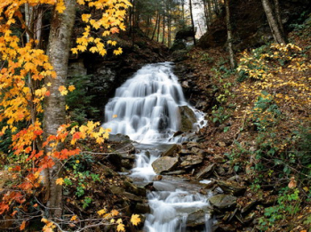 Autumn landscape wallpaper