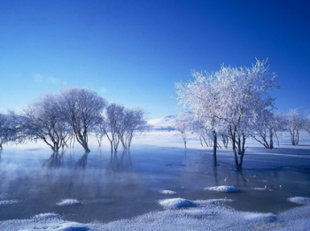 Nature photography wallpaper