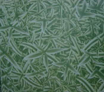 Glass texture mapping