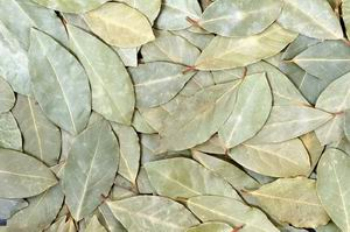Maps of various plant debris
