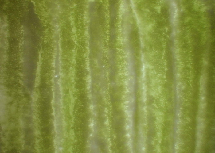 3D TEXTURES