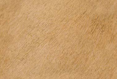 3D TEXTURES