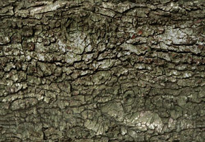 3D TEXTURES