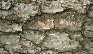 3D TEXTURES