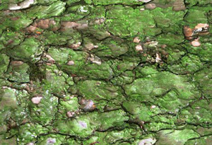 3D TEXTURES