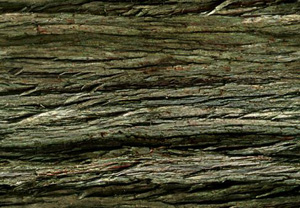 3D TEXTURES