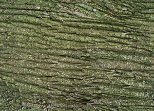 3D TEXTURES