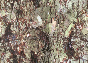 3D TEXTURES