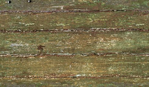 3D TEXTURES