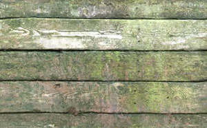 3D TEXTURES