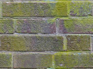 3D TEXTURES